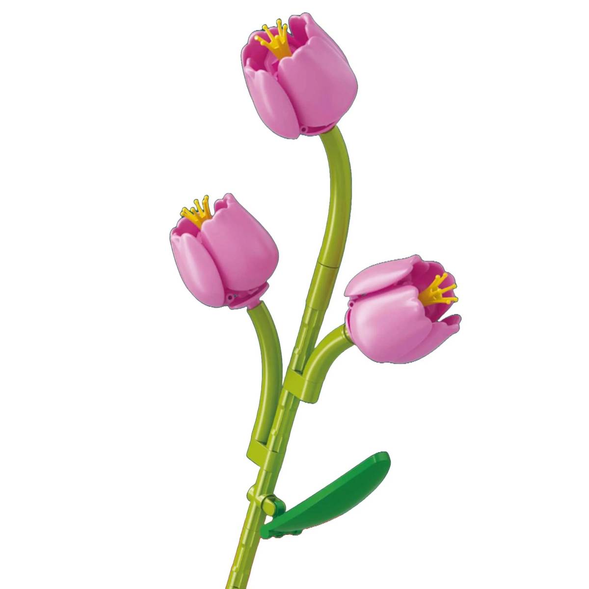 Tulipe (SEM-601283) — Prix et comparaison | Brick Broker