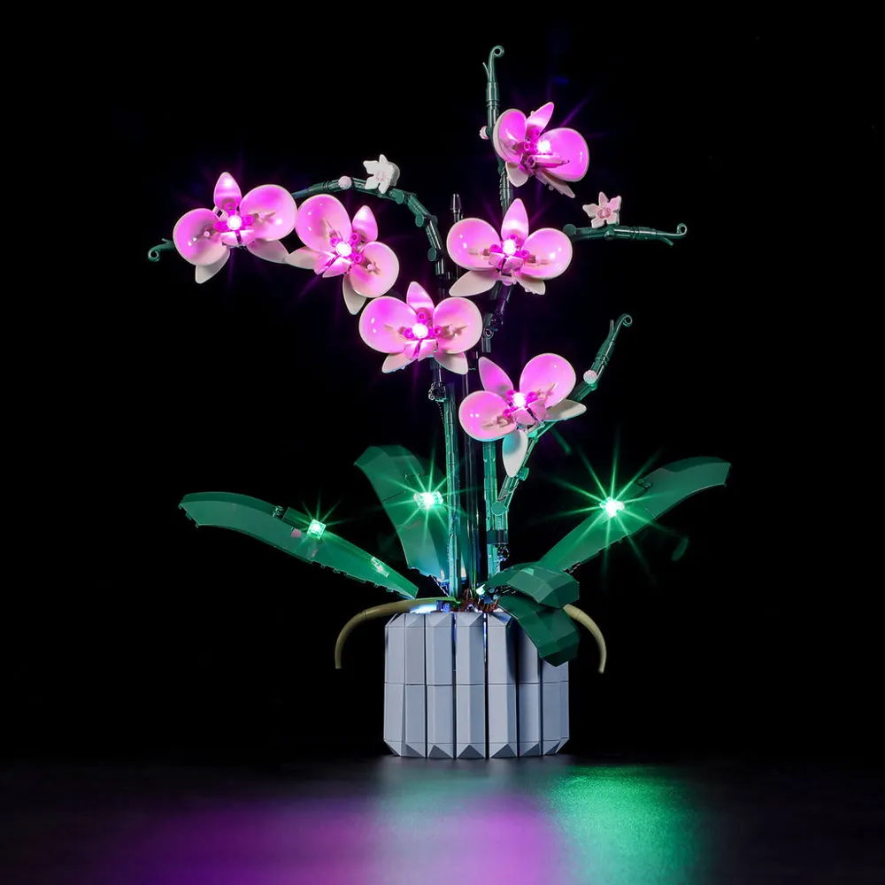 ★関税込★MISCHIEF★PROJECT MAGO_ORCHID COLOR-BLOCKED TO.P★ LEGO Icons Botanical Collection Orchid • Set 10311 • SetDB