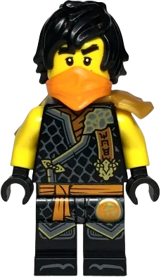 Ninjago cole dragon sale